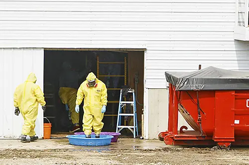 workers during bird flu pandemic