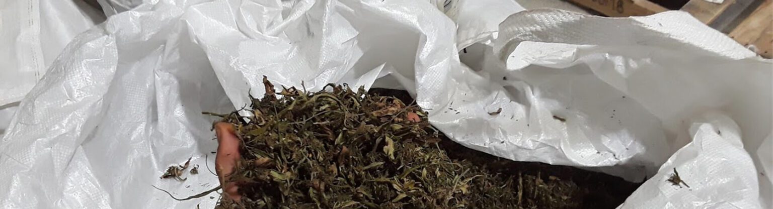 Use a Bulk Bag for Your Hemp Harvest