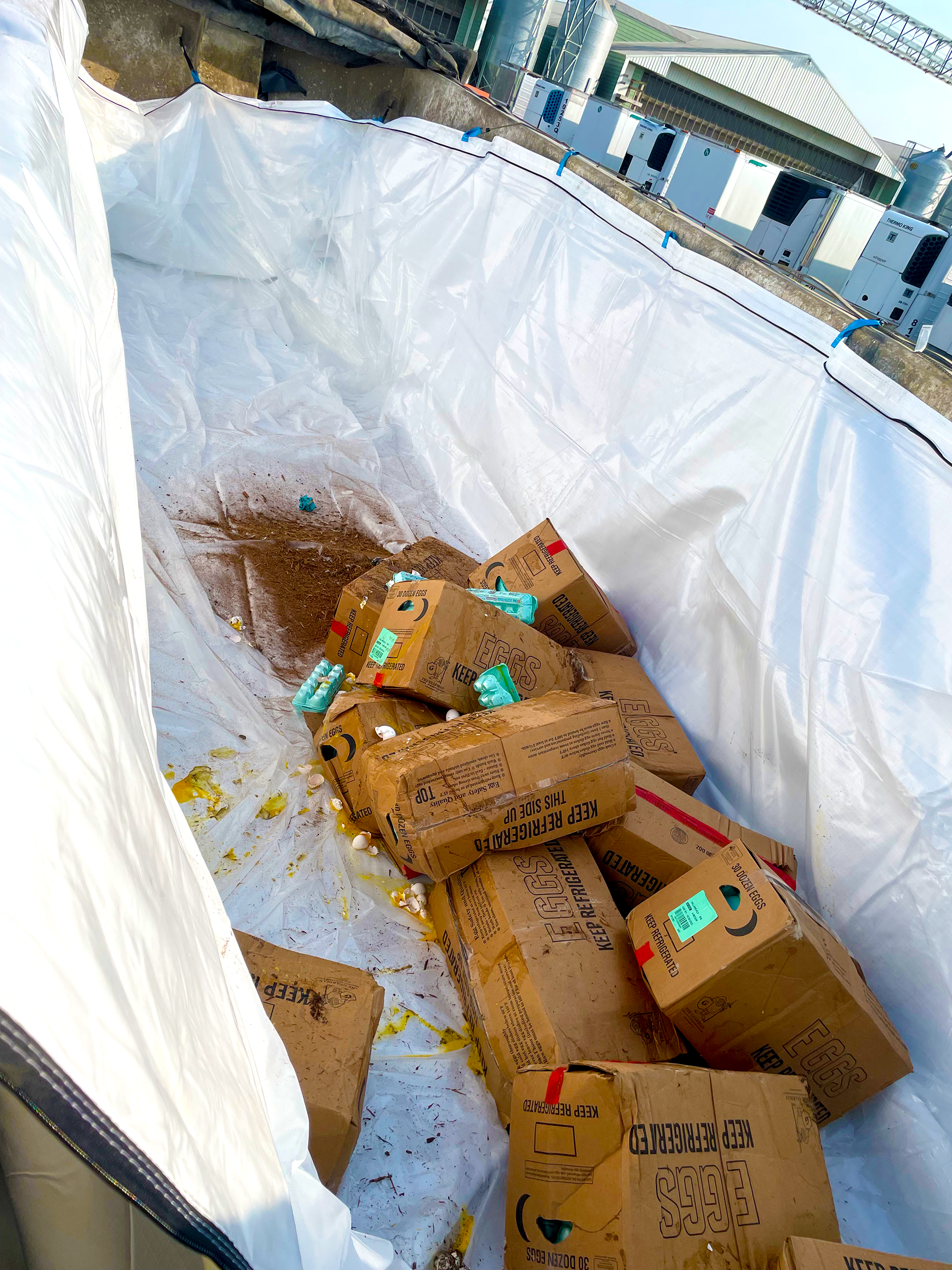 [I]TransPac-Eggs Splat in Bottom of TransPac