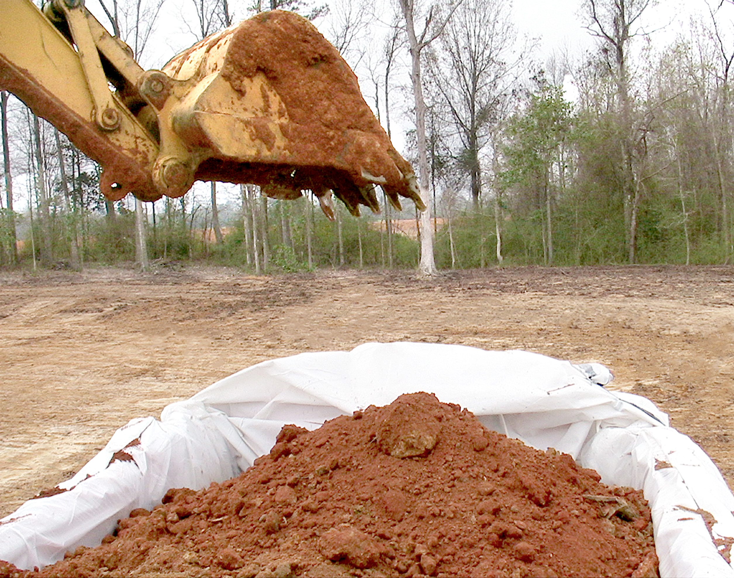 [I]TransPac- Loaded in Woods Setting