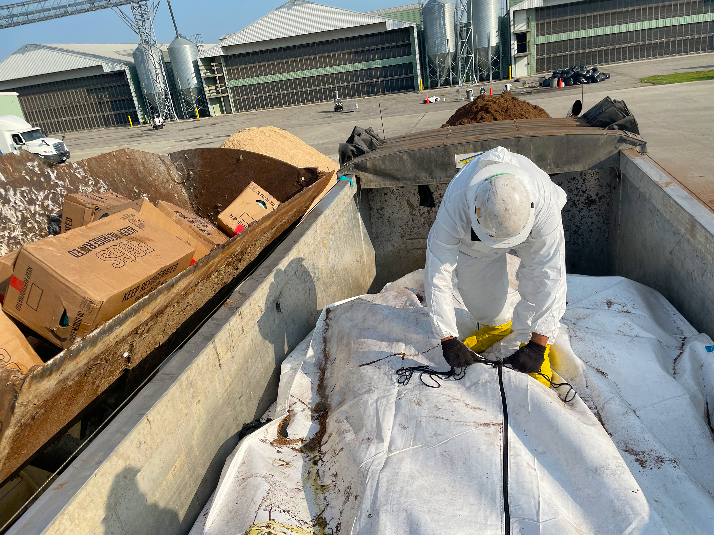 [I]TransPac-Sealing TransPac Full of Eggs